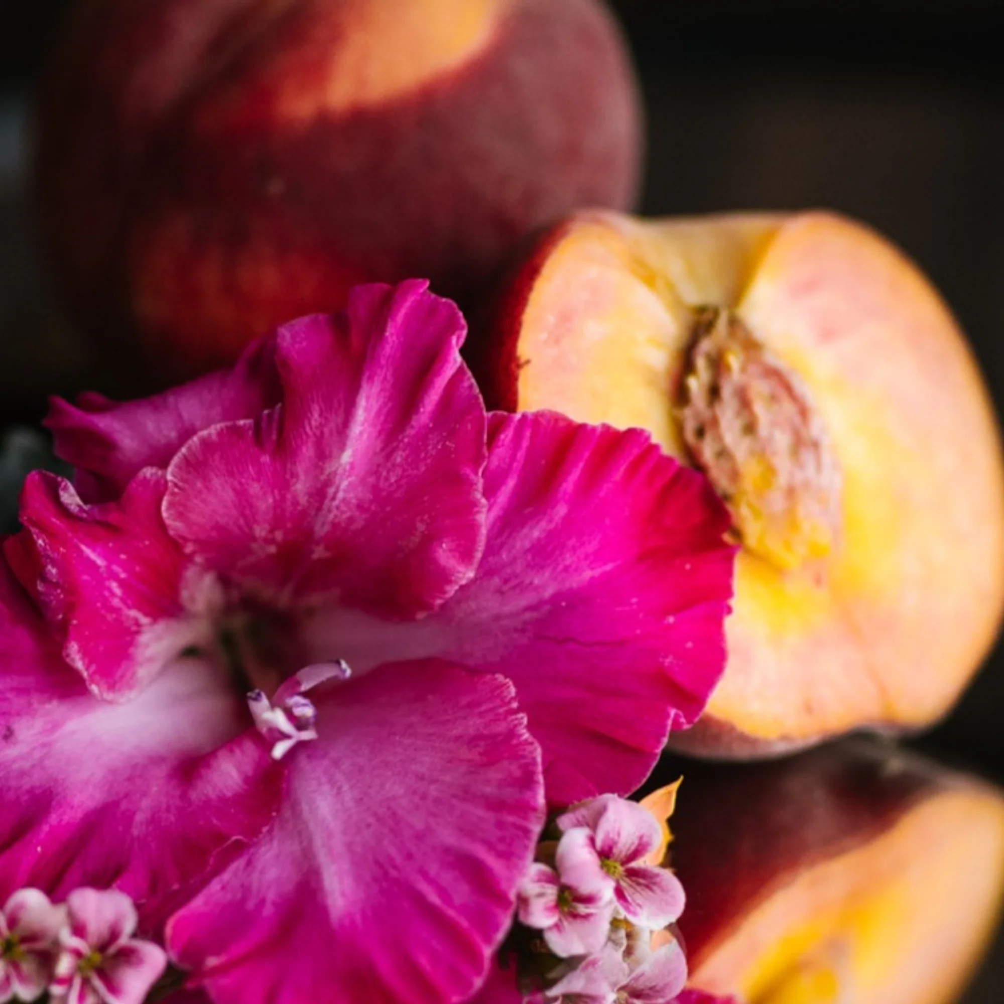 Peach Hibiscus Shampoo Bar - Image 2
