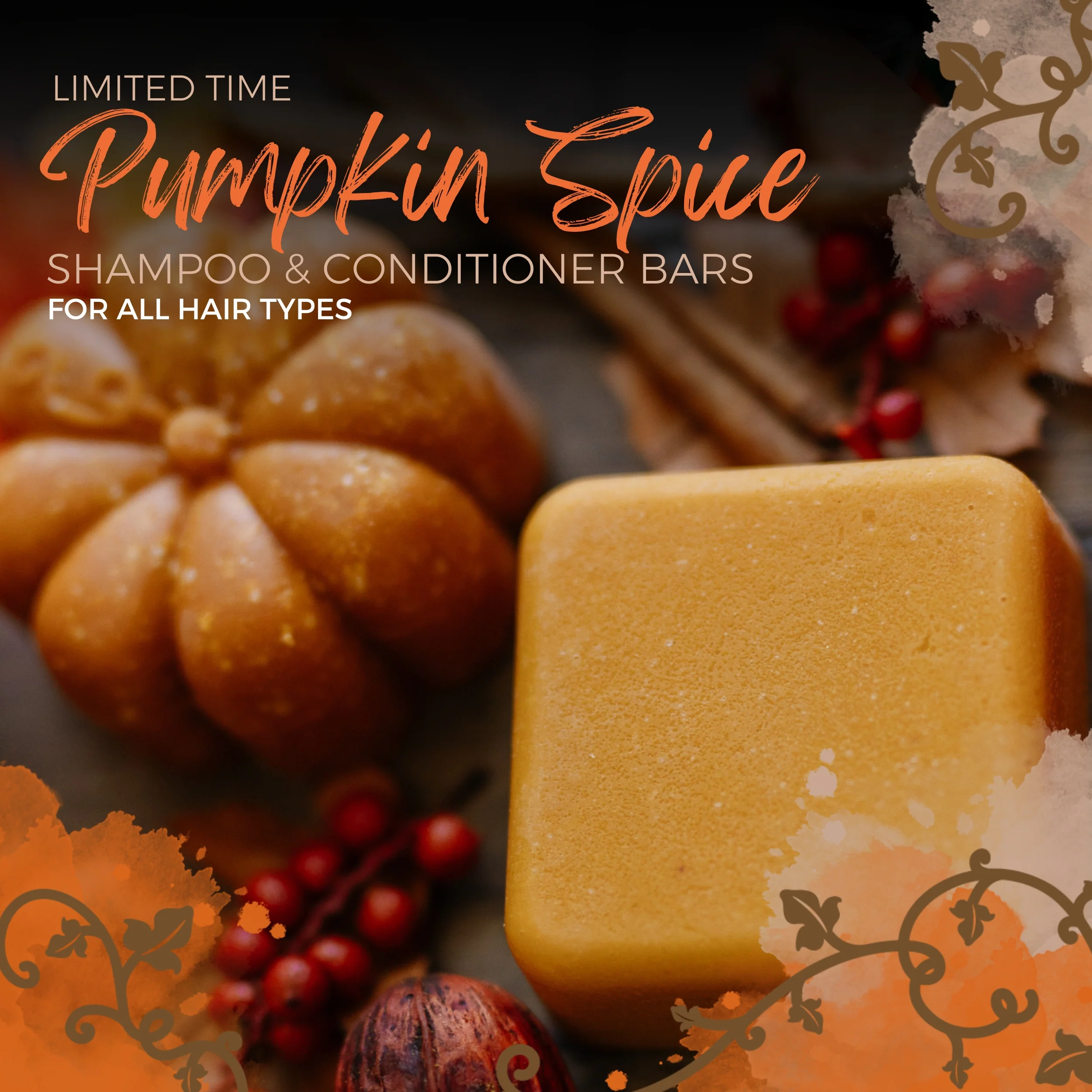 LIMITED Pumpkin Spice Conditioner Bar - Image 3