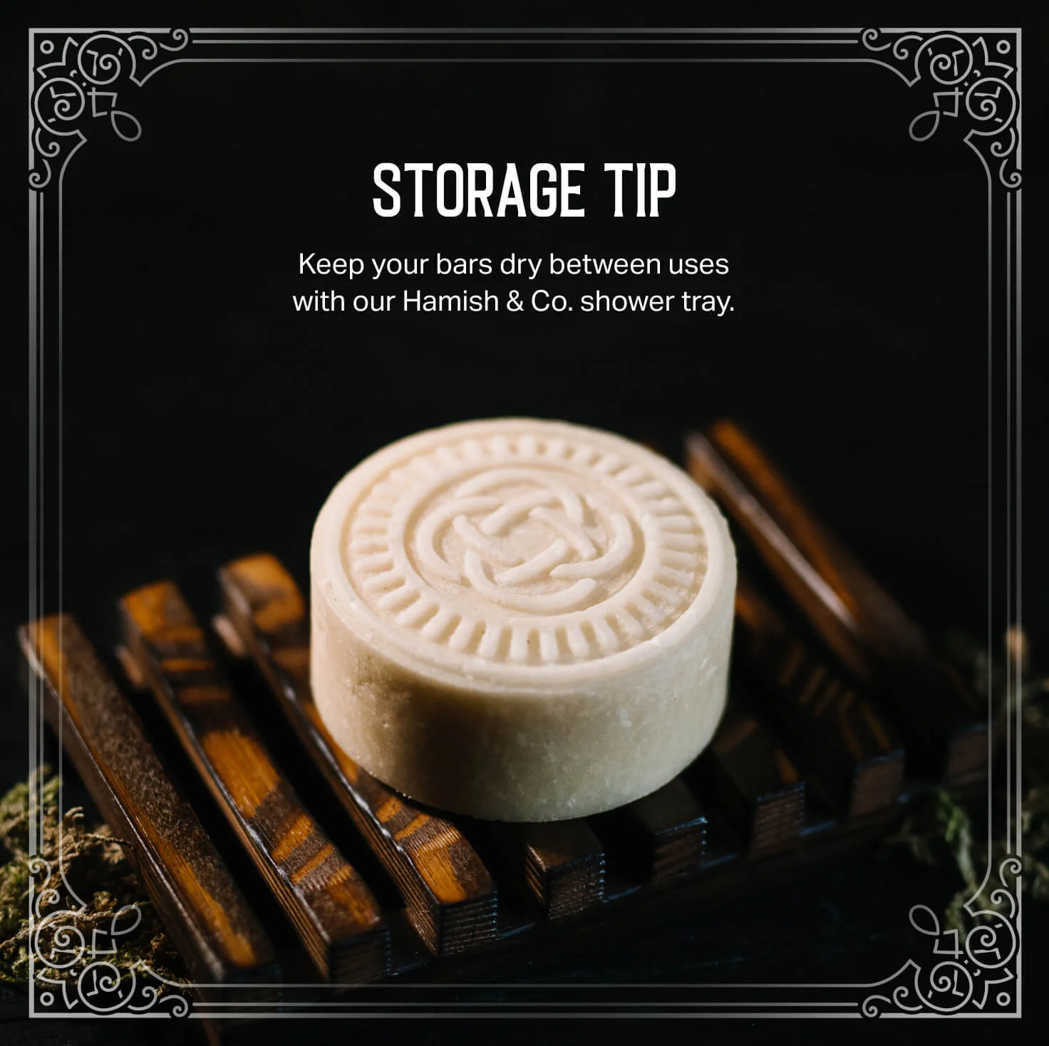 Men's Citron Ginger Shampoo Bar – Oily Scalp | VIORI - Image 8