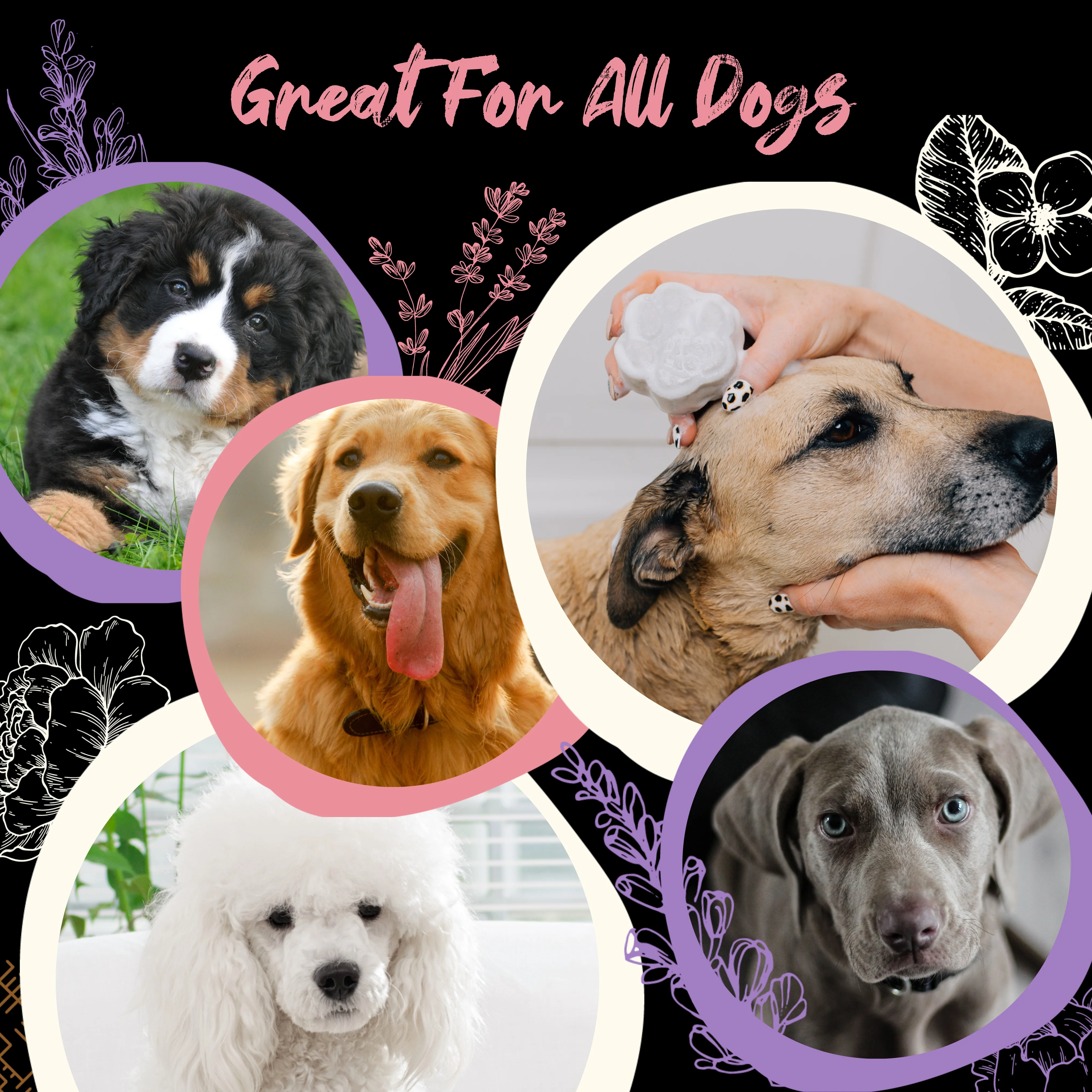 Pet Shampoo Bar – Cherry Blossom for Dogs | VIORI - Image 4