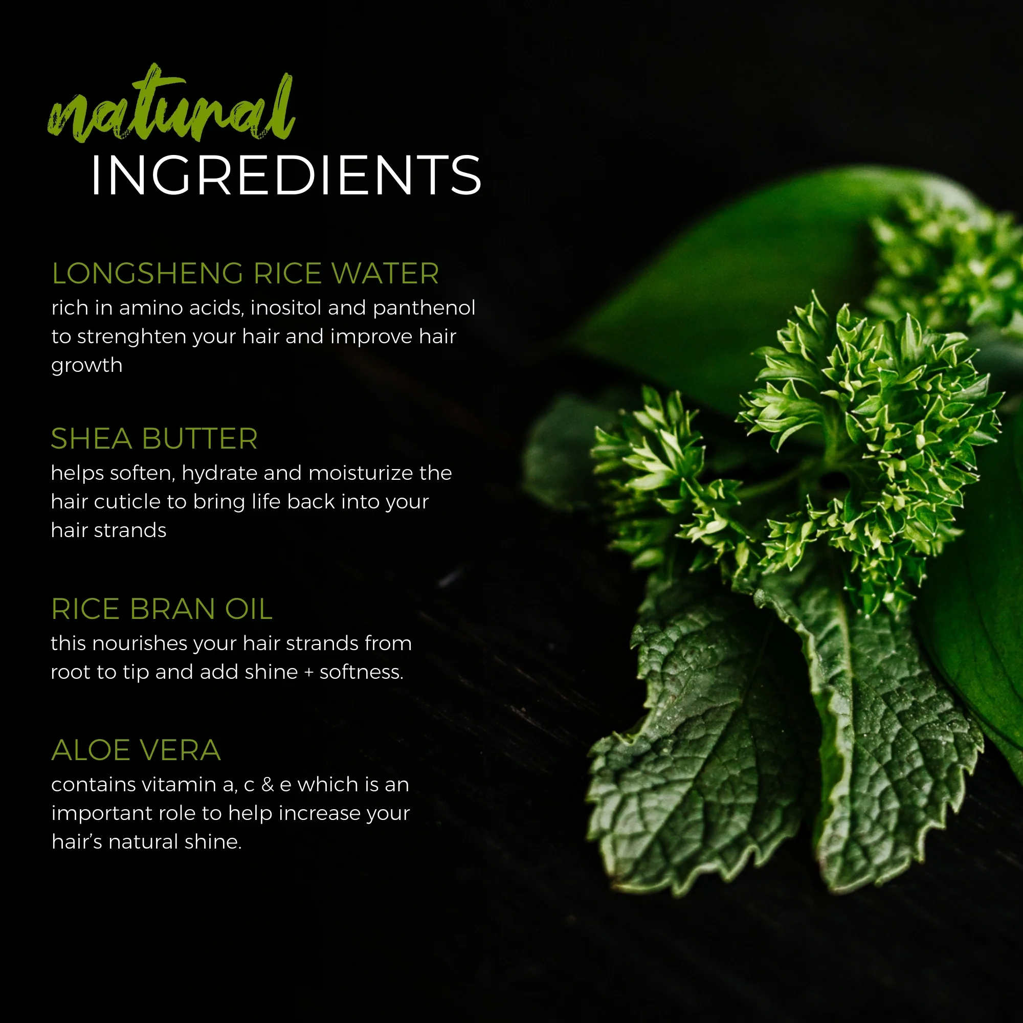 Tea Tree Conditioner Bar – Oily & Itchy Hair | VIORI - Image 10